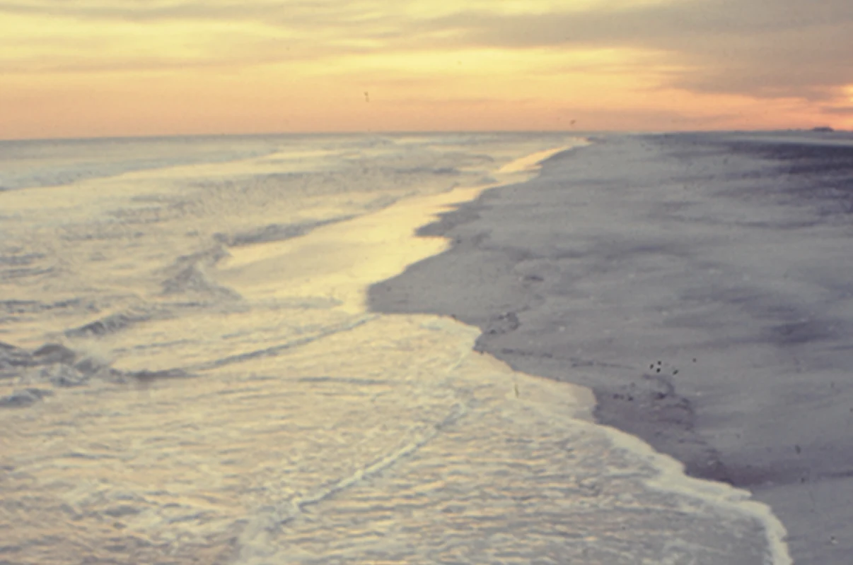 Shoreline at sunset, from the Environments app